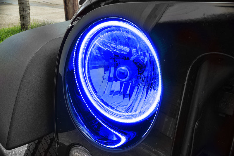 ORACLE Lighting Oracle 07-17 Jeep Wrangler Surface Mount LED Headlight Halo Kit - Blue