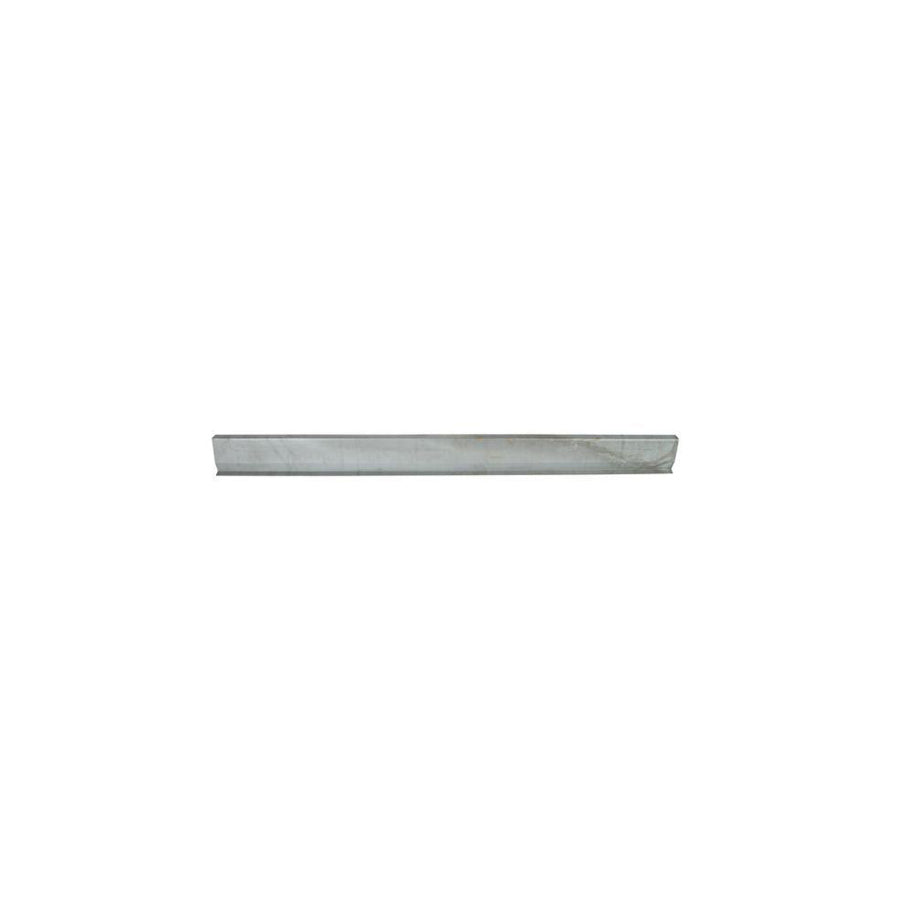 Blic 6505-06-8110015P Rocker Panel for Toyota Corolla