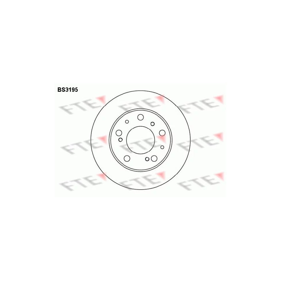 FTE Bs3195 Brake Disc
