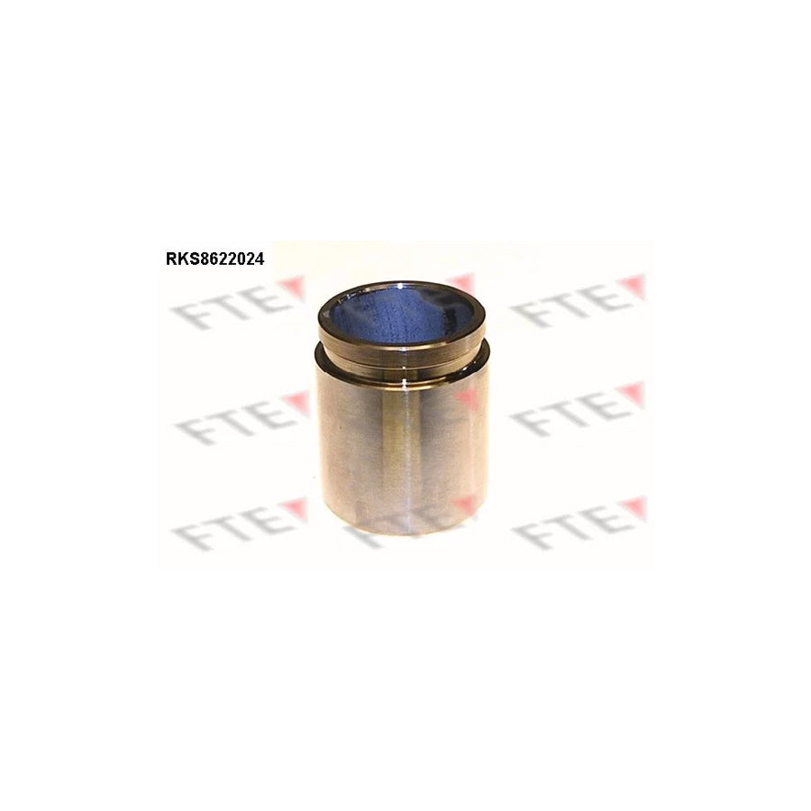 FTE 9313183 Piston, Brake Caliper for Nissan X-Trail (T30)