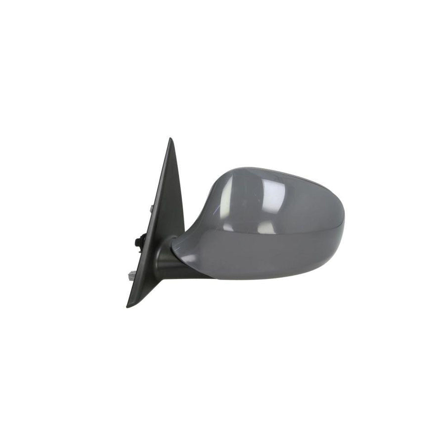 Blic 5402-05-021361P Wing Mirror for BMW 3 Series