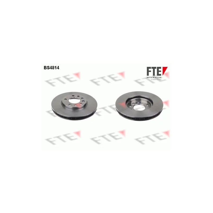 FTE 9072087 Brake Disc