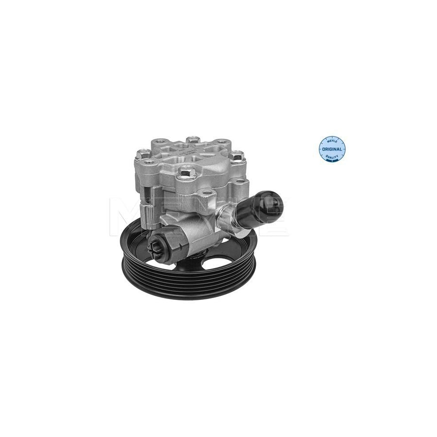 Meyle 614 631 0017 Power Steering Pump