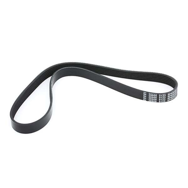 Febi Bilstein 28908 V-Ribbed Belt | ML Performance UK Car Parts