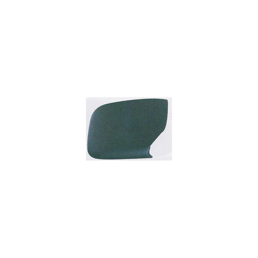 Abakus 0405C01 Cover, Outside Mirror