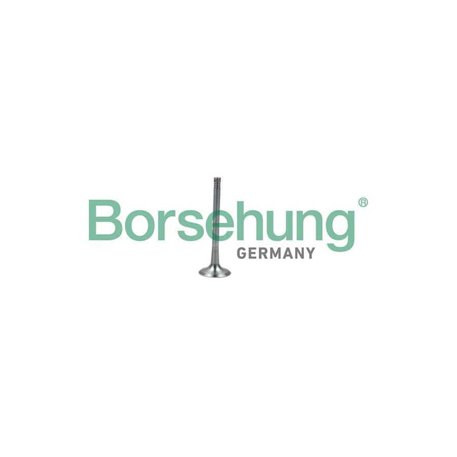Borsehung B19011 Exhaust Valve