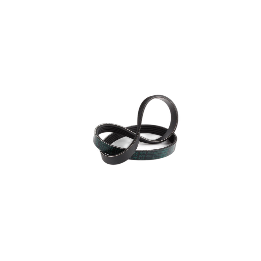 Genuine BMW 11287830946 E85 E46 E36 Ribbed V-Belt 5PK X 829 (Inc. M3 CSL, Z3 M & M3)
