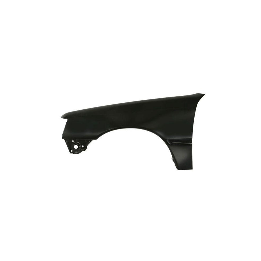 Blic 6504-04-5503311P Wing Fender for Peugeot 205