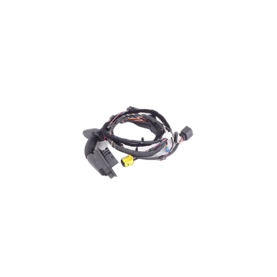 Genuine BMW 61126925919 E60 E61 Wiring Drivers Side (Inc. 530d, 525xi & 530xd)