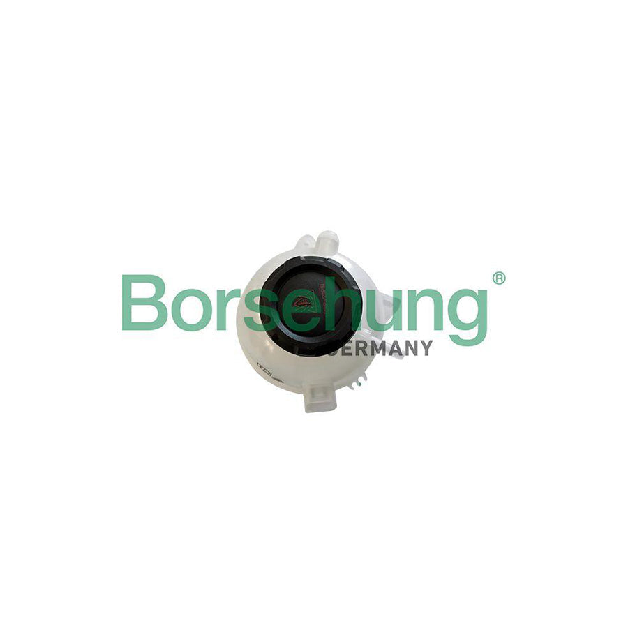 Borsehung B11942 Coolant Expansion Tank