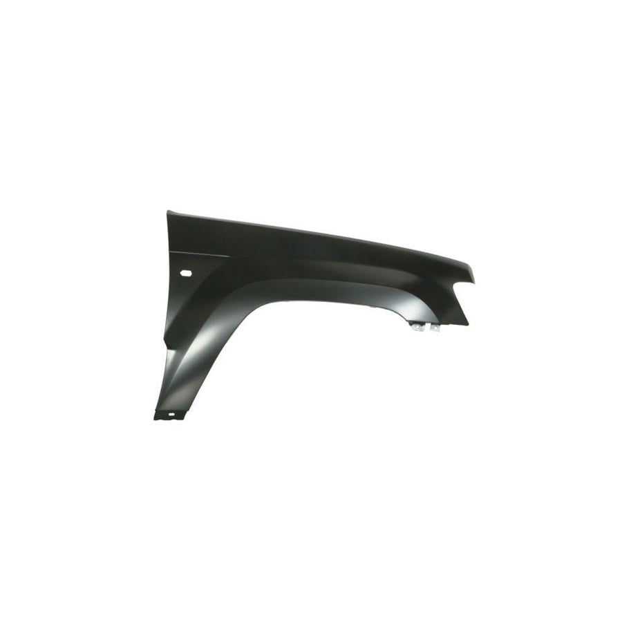 Blic 6508-05-6010242P Headlight Base for Renault Kangoo