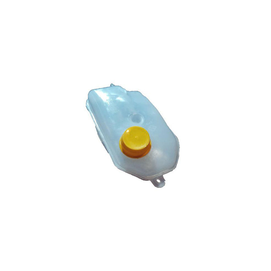 BUGIAD Bmc19095 Water Tank, Radiator for Ford Escort Express 81 (Ava)