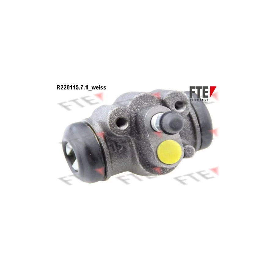 FTE 9210238 Wheel Brake Cylinder