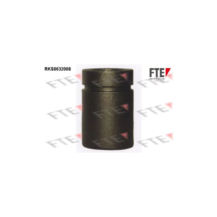 FTE 9313259 Piston, Brake Caliper