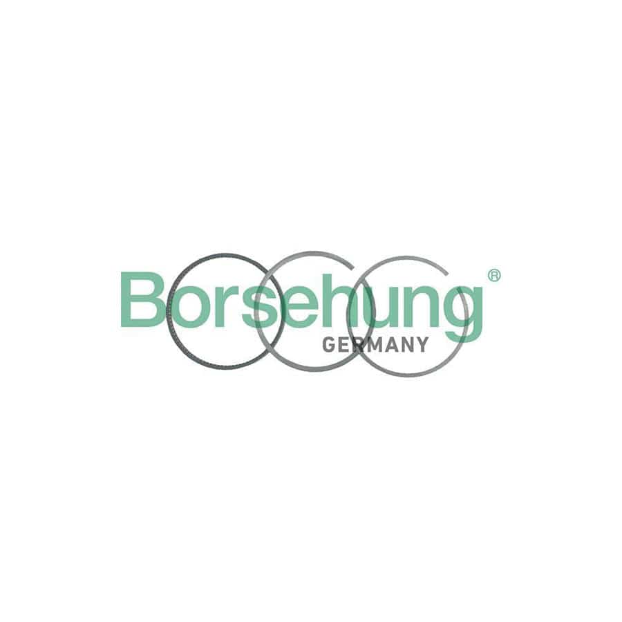 Borsehung B19036 Piston Ring Kit