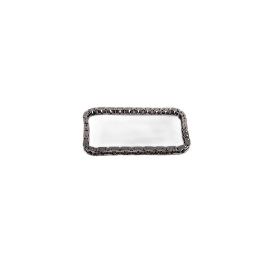 Genuine BMW 11311432177 E85 E60 E36 Timing Chain (Inc. 730Li, X3 3.0i & M3)