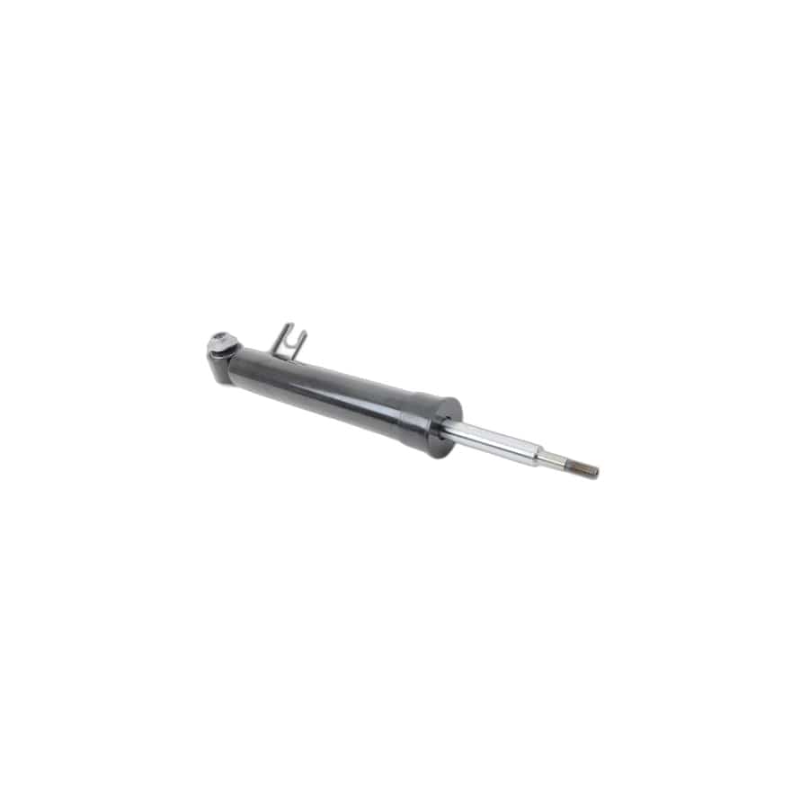 Genuine BMW 33526781925 E70 E71 Shock Absorber, Rear Left (Inc. X6)