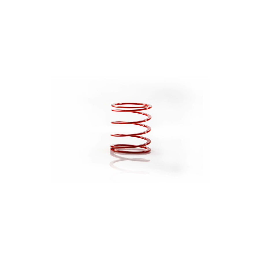 MTS Technik Ford Helper Coil Spring - GWHE26 Spare Parts | ML Performance UK Car Parts