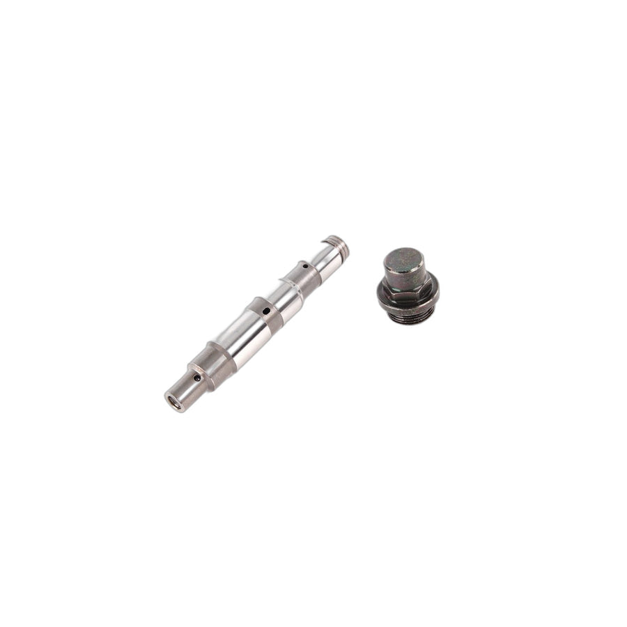 Genuine BMW 11317531813 E52 E53 E32 Chain Tensioner (Inc. X5 4.6is, 840i & 730i)