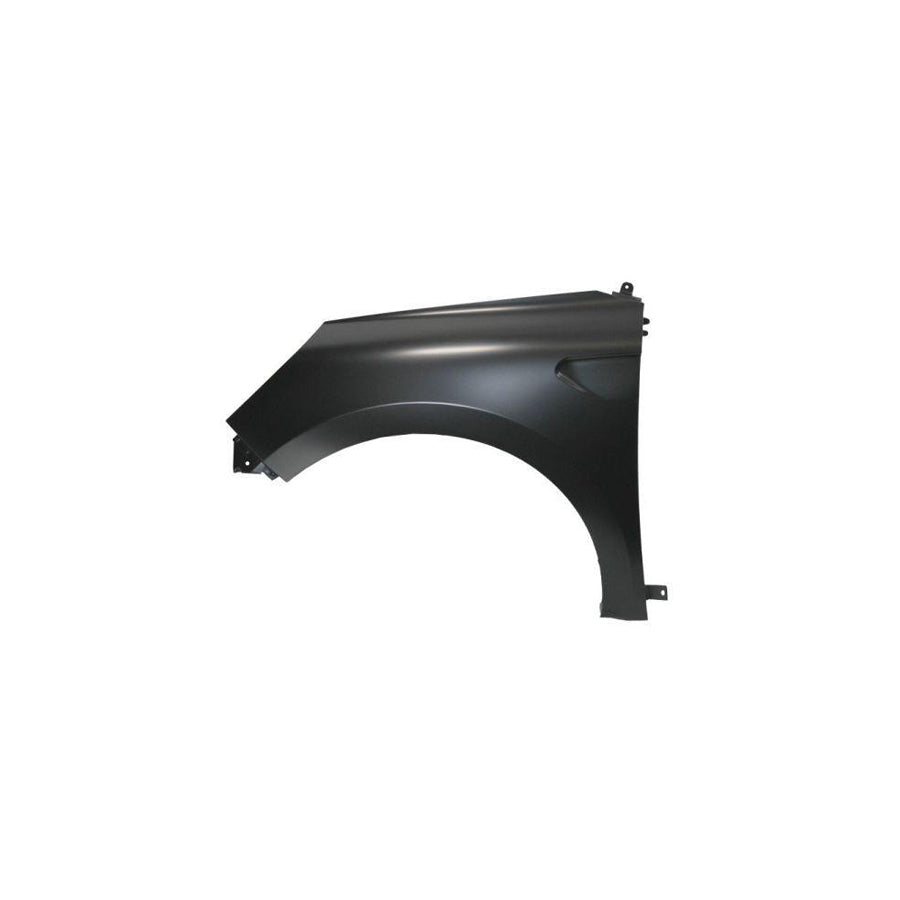 Blic 6504-04-6001311P Wing Fender for Renault Clio V Hatchback (Bf)