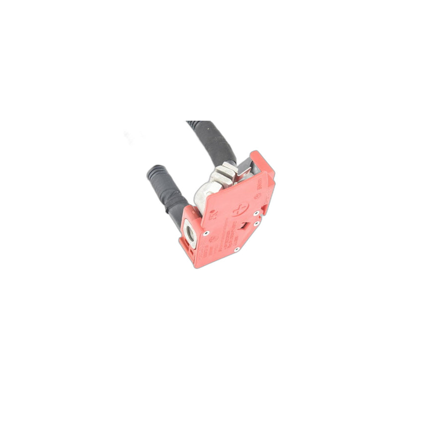 Genuine BMW 61129380213 Battery Cable (Plus Pole) (Inc. i8)