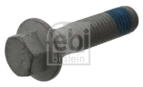 Febi Bilstein 45673 Screw | ML Performance UK Car Parts