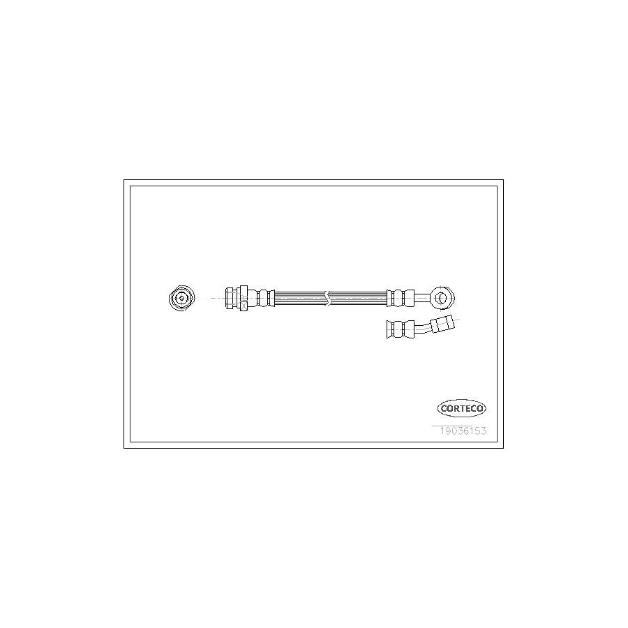 Corteco 19036153 Brake Hose