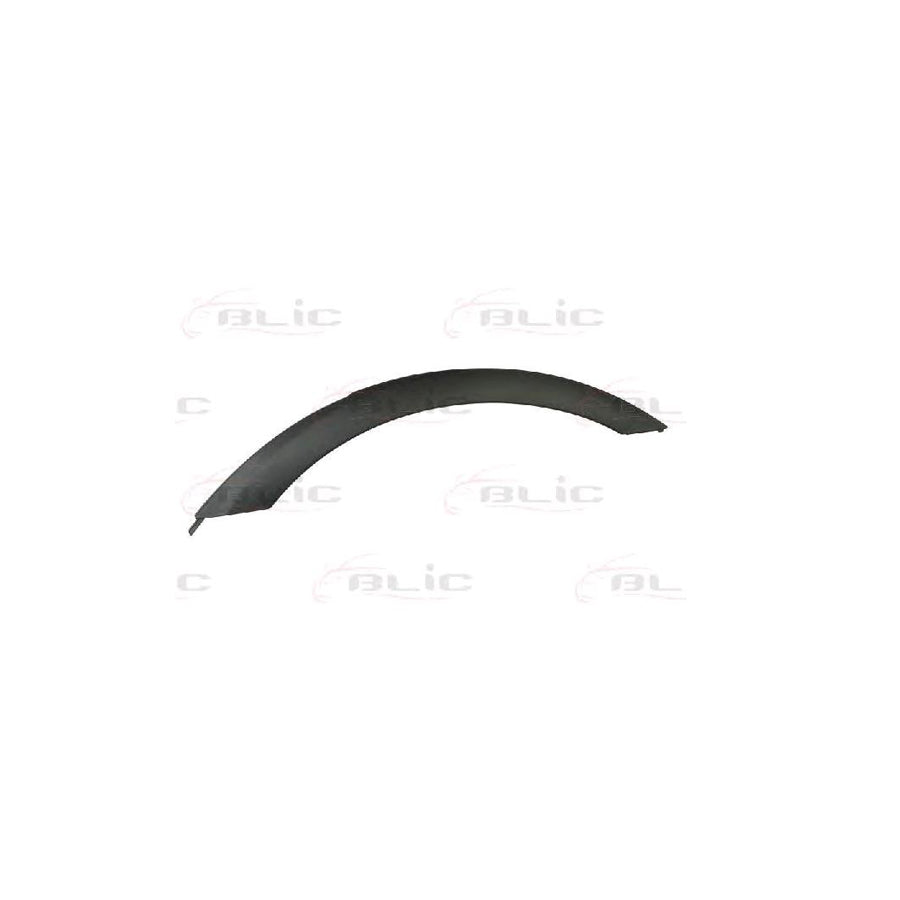 Blic 5703-04-0093595P Trim / Protective Strip, Mudguard for BMW X3 (E83)