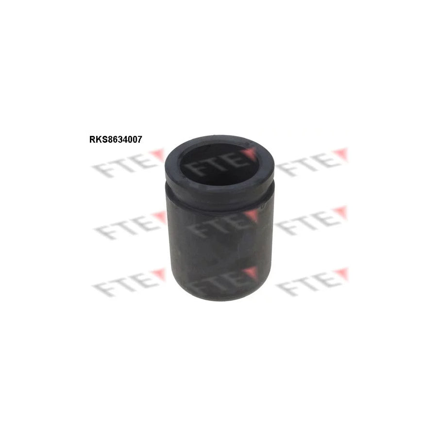 FTE 9313303 Piston, Brake Caliper