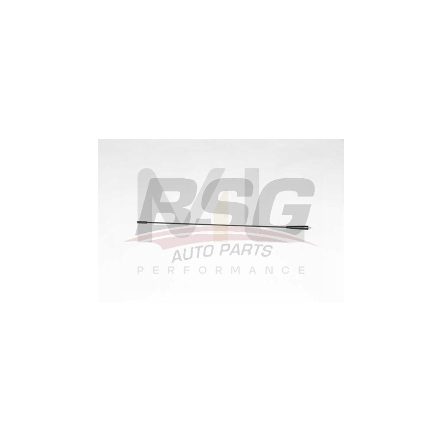 BSG BSG 70-922-038 Aerial for PEUGEOT BOXER