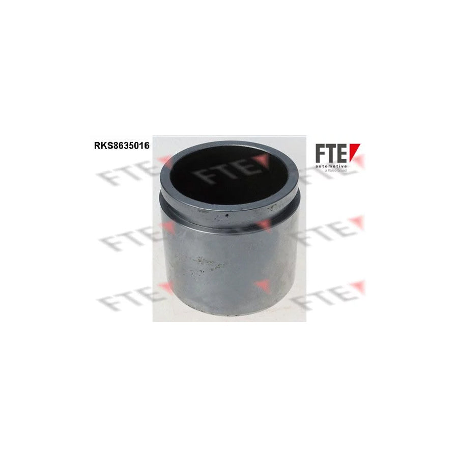 FTE 9313323 Piston, Brake Caliper