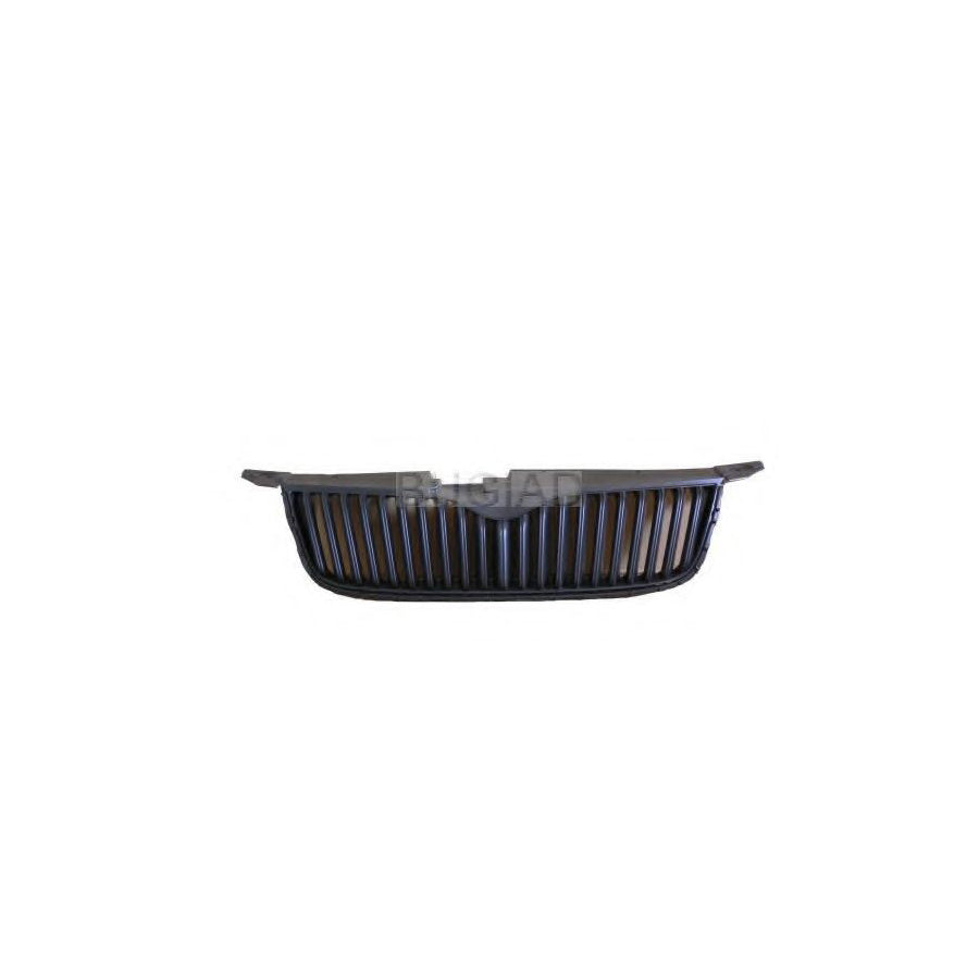 BUGIAD Bsp24024 Radiator Grille for Skoda Yeti (5L)
