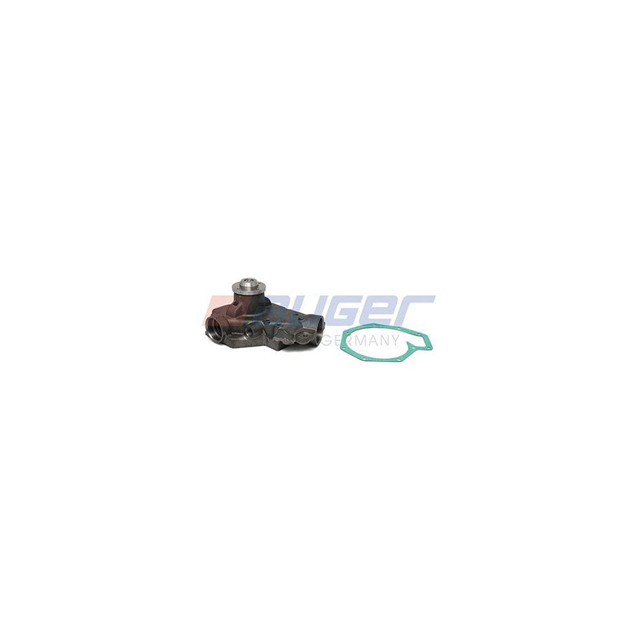 Auger 104209 Water Pump