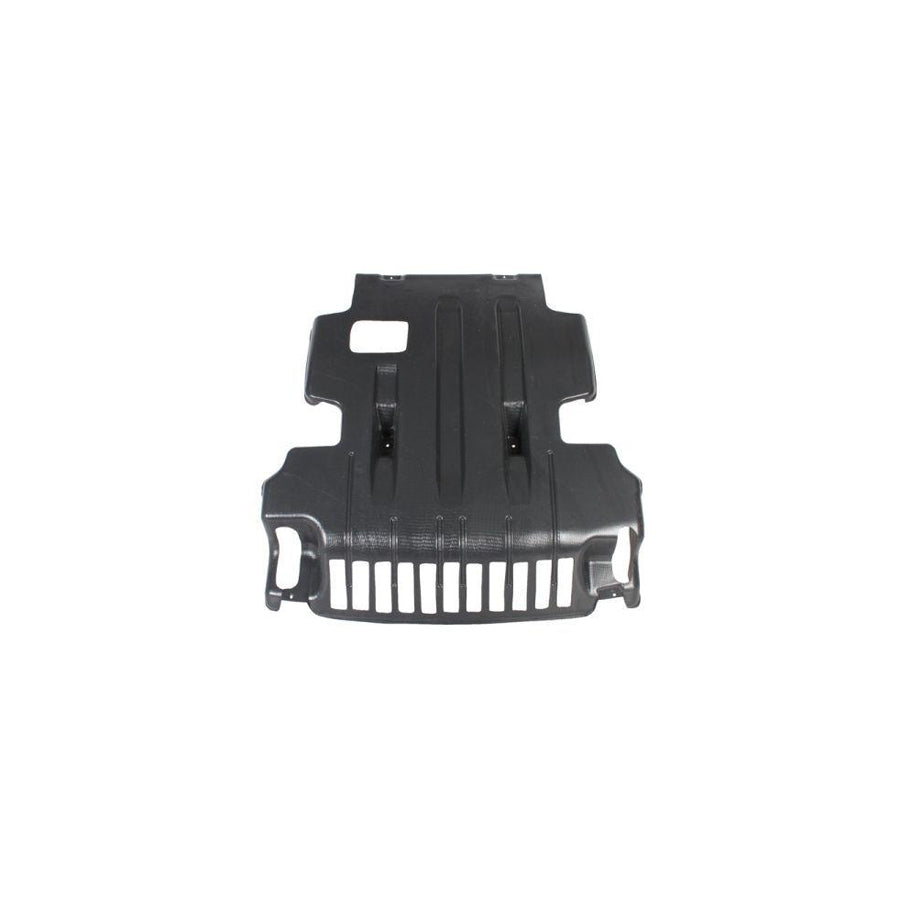 Blic 6601-02-3170860P Engine Cover for Hyundai Terracan (Hp)