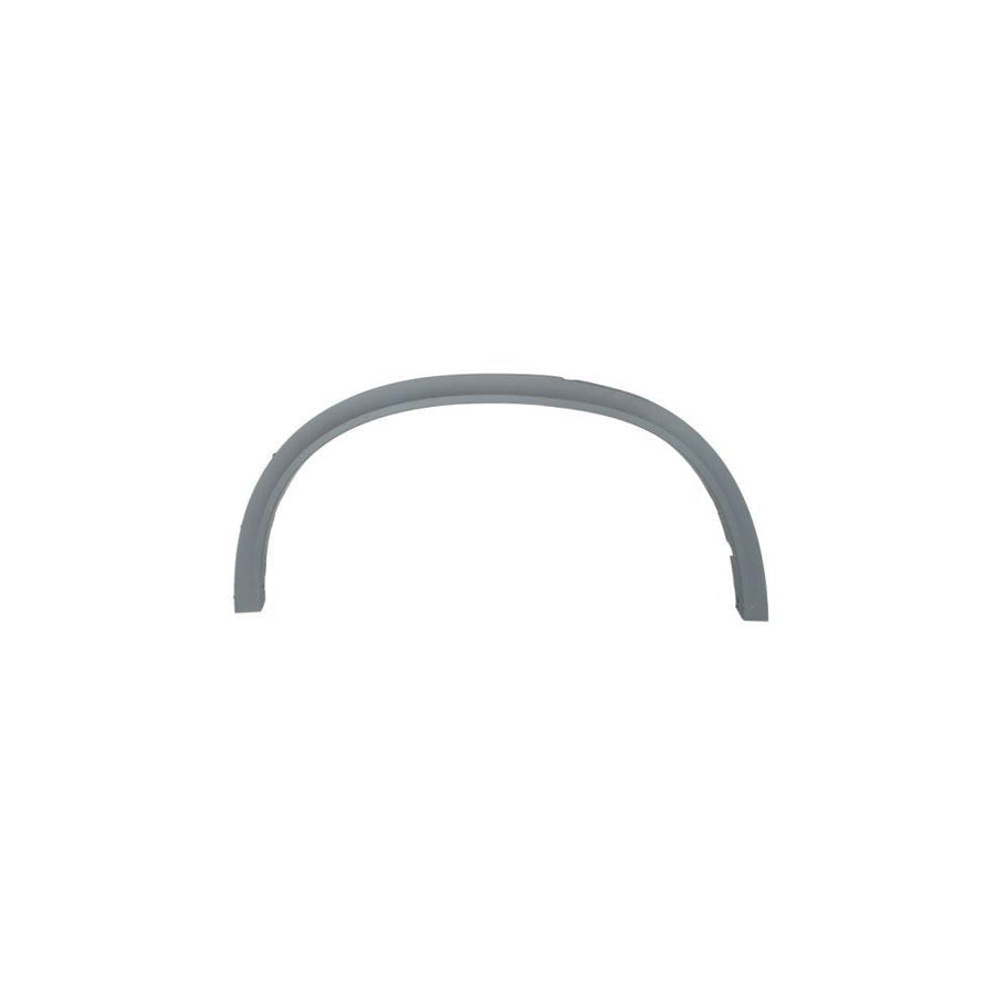 Blic 5703-04-0096598Pp Trim / Protective Strip, Mudguard for BMW X5 (F15, F85)