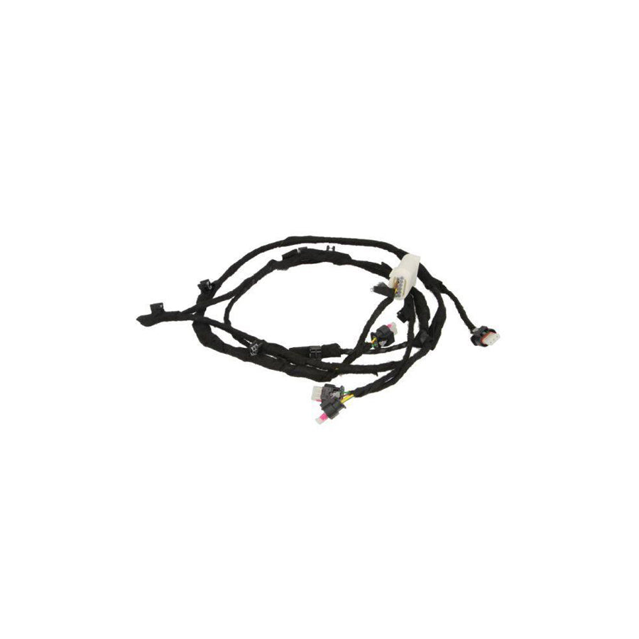 Blic 5902-02-0002P Parking Assist System for BMW 5 Series