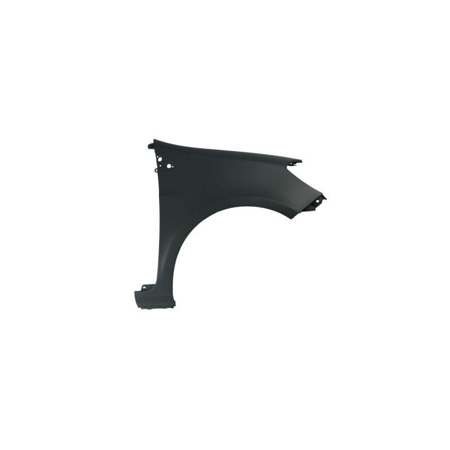 Blic 6504-04-6033312Q Wing Fender for Renault Clio