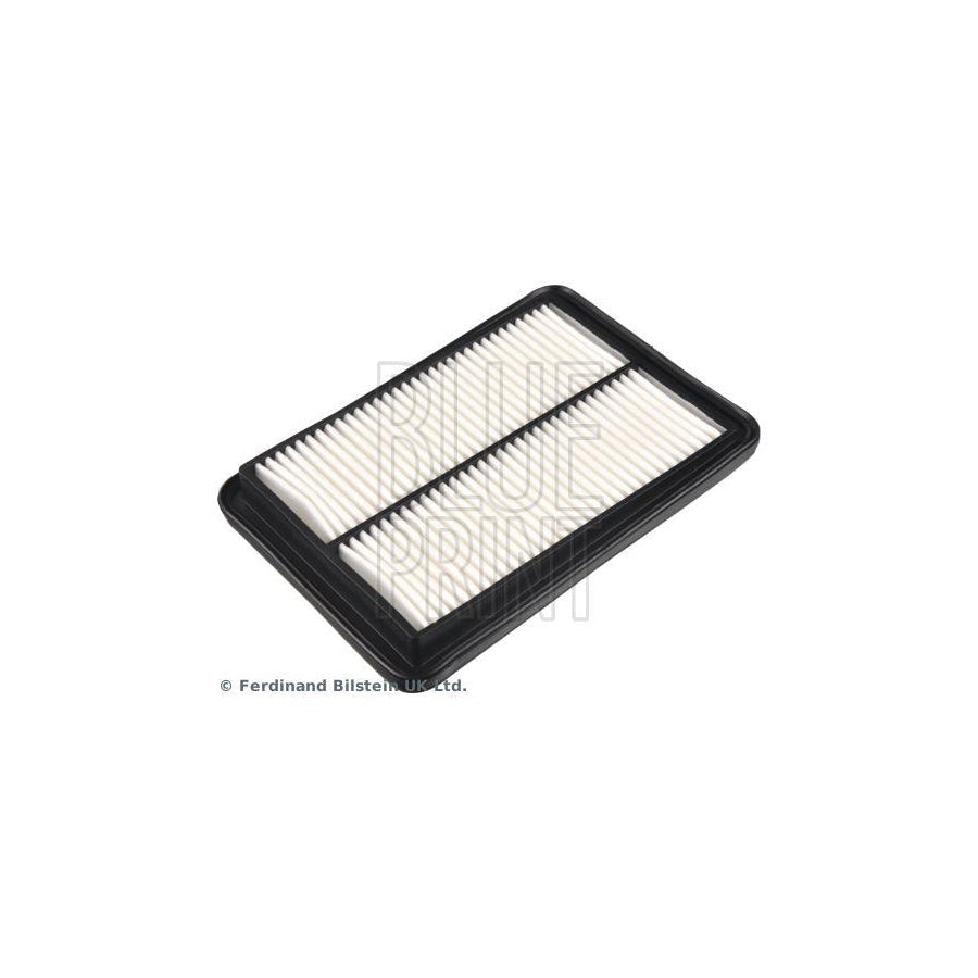 Blue Print Adbp220020 Air Filter for Renault Koleos II (Hc)