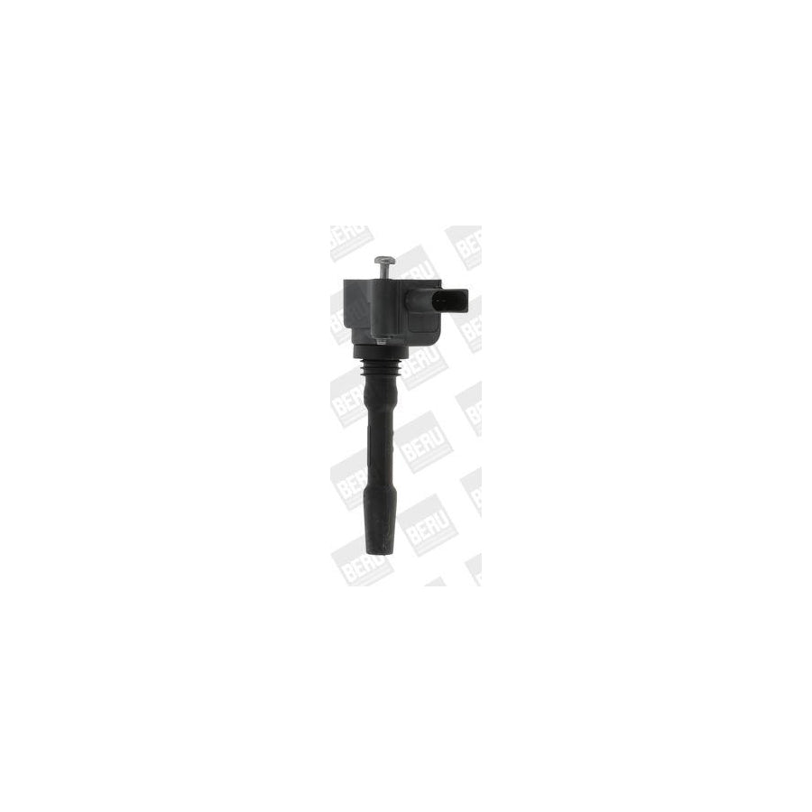 Beru Le076 Fan, Radiator for Peugeot 406