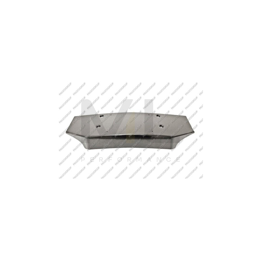 PRASCO ME9211539 Number plate holder suitable for MERCEDES-BENZ SPRINTER Front, Black, frameless