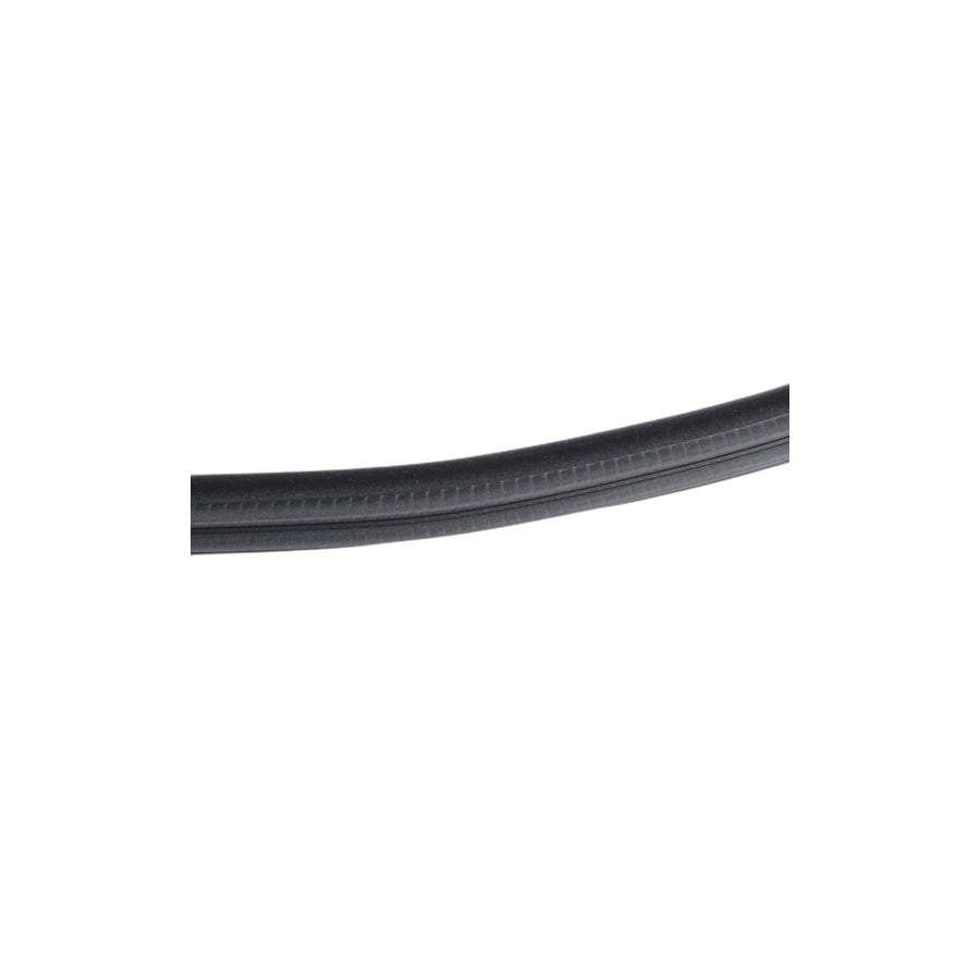Genuine BMW 51727289689 F15 Edge Protection, Door, Rear SCHWARZ (Inc. X5)