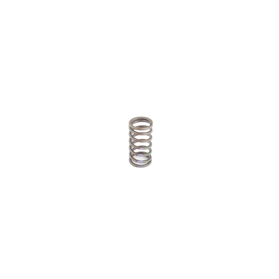 Genuine BMW 11341726473 E36 E34 Valve Spring (Inc. 325is, 325i & 520i)