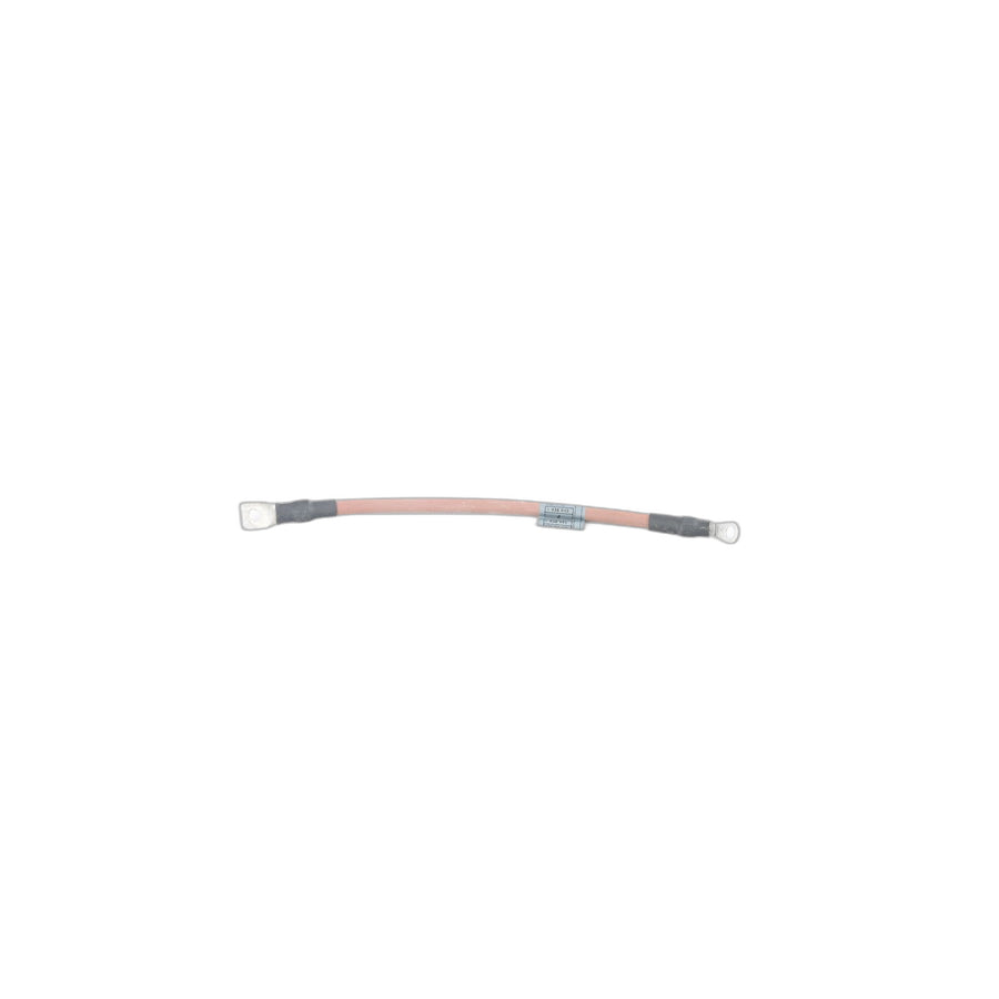 Genuine BMW 12421438941 E53 Ground Cable Alternator (Inc. X5)