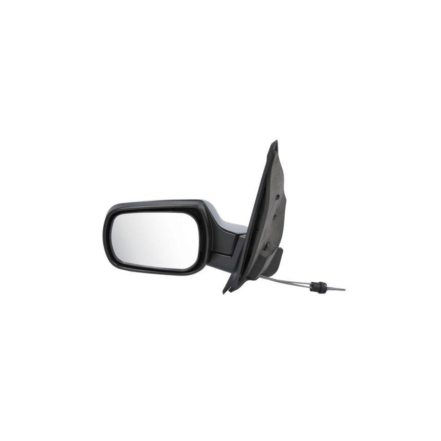 Blic 5402-04-1137387 Wing Mirror for Ford Fiesta