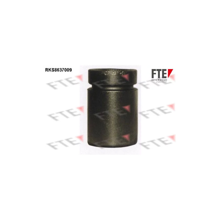 FTE 9313351 Piston, Brake Caliper