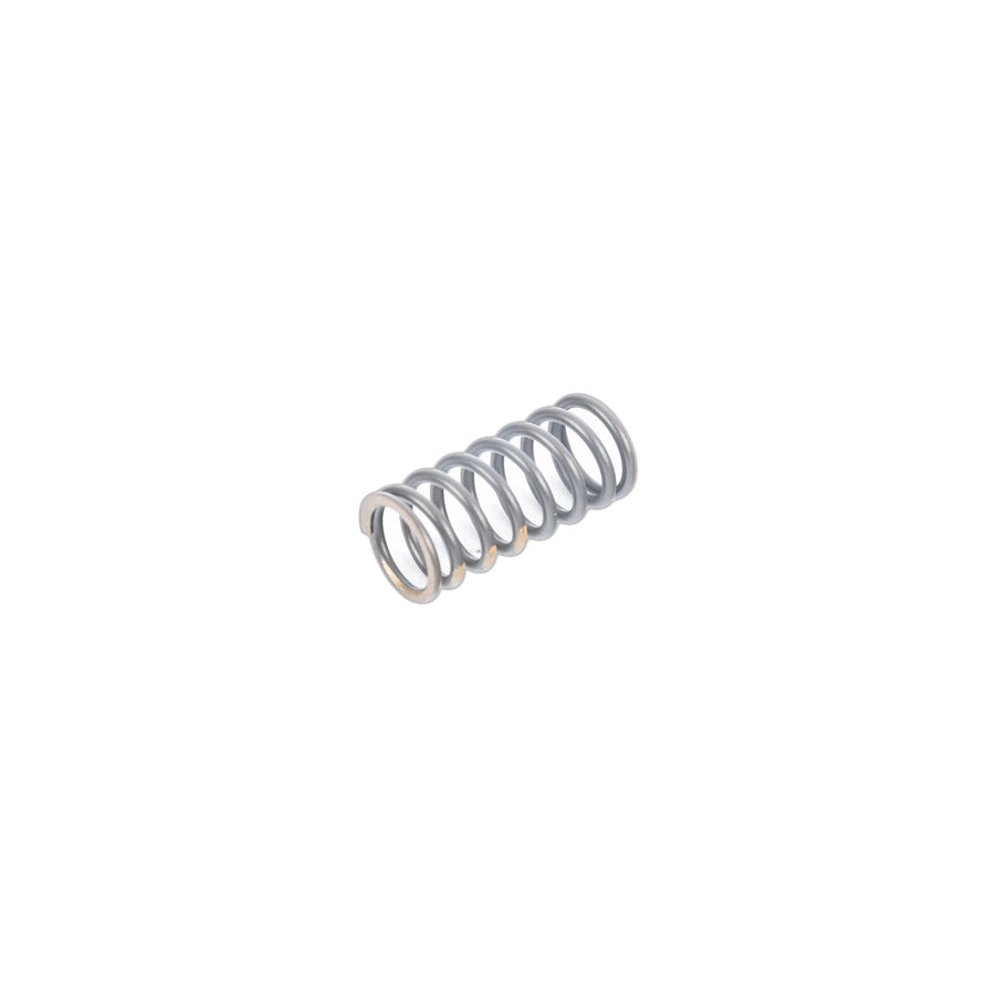 Genuine BMW 11342247172 E38 E61 E91 Valve Spring (Inc. 730Ld, 335d & X6 30dX)