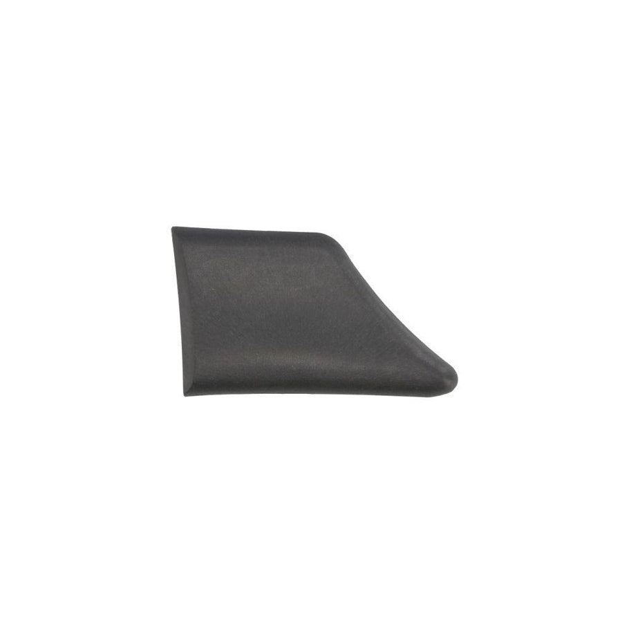 Blic 5703-04-0550474P Trim / Protective Strip, Mudguard for Citroen Berlingo