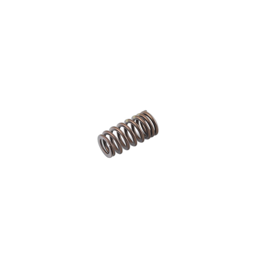 Genuine BMW 11347563462 F87 F83 F82 Valve Spring (Inc. M4, M2 Competition & M4 GTS)