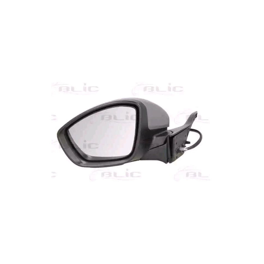 Blic 5402-08-2002055P Wing Mirror