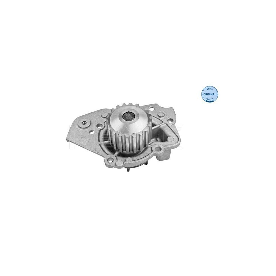 Meyle 11-13 012 0163 Water Pump